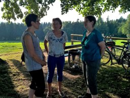 WP_20150806_19_01_58_Pro